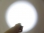 images/v/201303/13638510146_flashlight (6).JPG.jpg